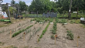 Iskolakerti alapozó