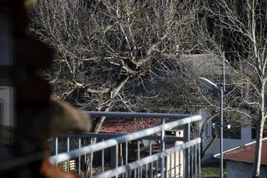 Képek: 2022. február