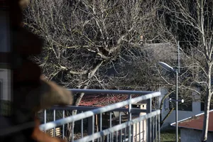 Képek: 2022. február