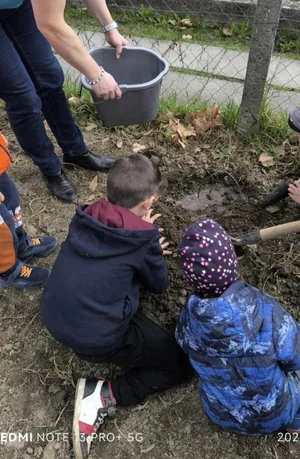 Iskolakerti alapozó