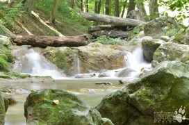 Római Fürdő borítóképe