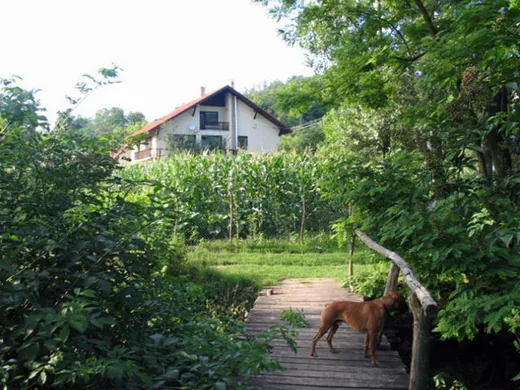 'Erdőalja Vendégház' cikk borítóképe