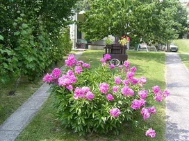 Szabó Vendégház borítóképe