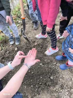 Iskolakerti alapozó