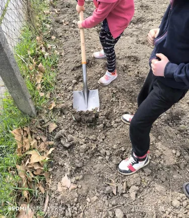 Iskolakerti alapozó