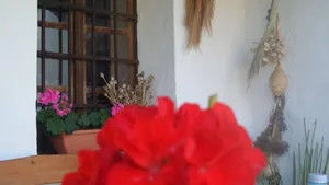 Képek: Jásdi Tájház 2020 előtt