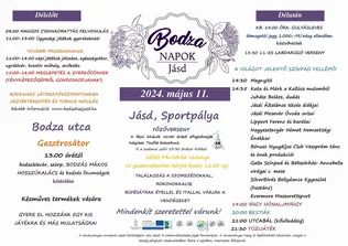 Bodza Napok Jásd borítóképe