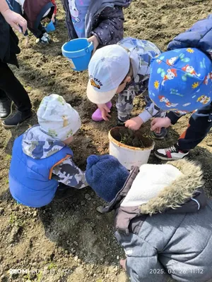 Iskolakerti alapozó