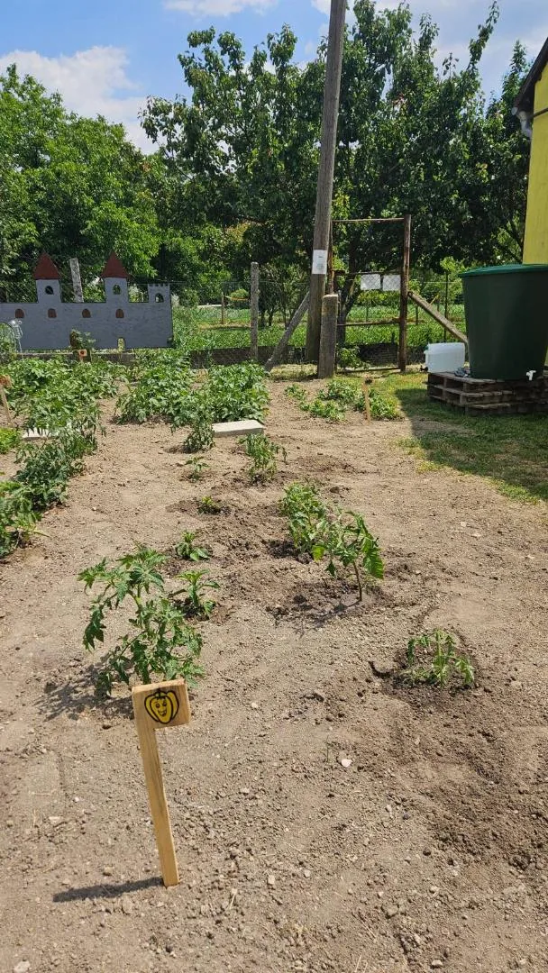 Iskolakerti alapozó