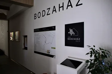 Képek: 2022. február