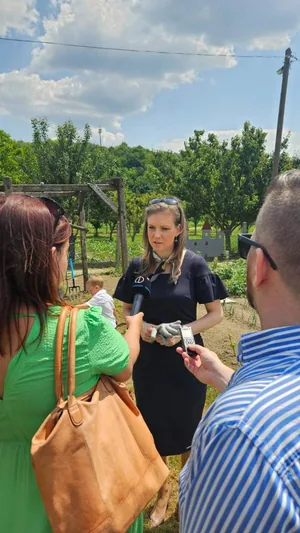 Iskolakerti alapozó