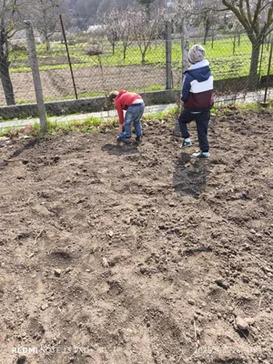 Iskolakerti alapozó