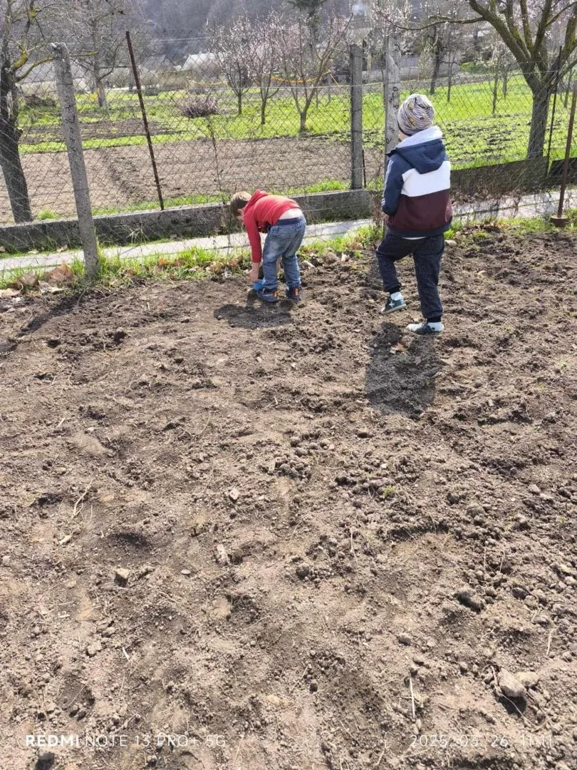 Iskolakerti alapozó