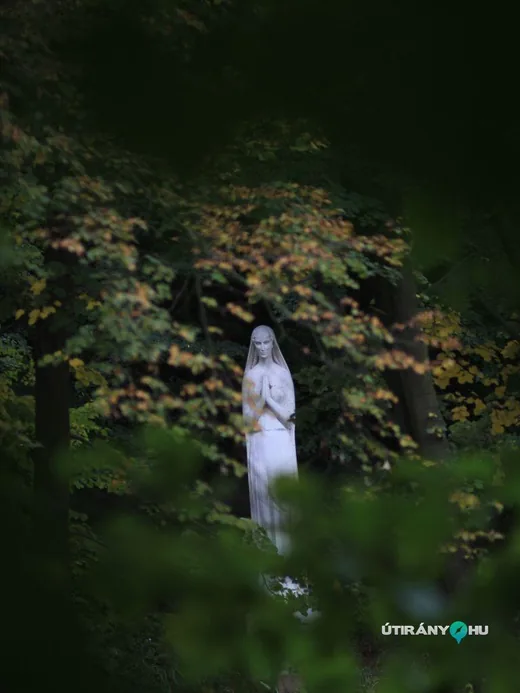 'Szentkút' cikk borítóképe