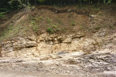 Fotók: Tóth Szabolcs / Balaton-felvidéki Nemzeti Park