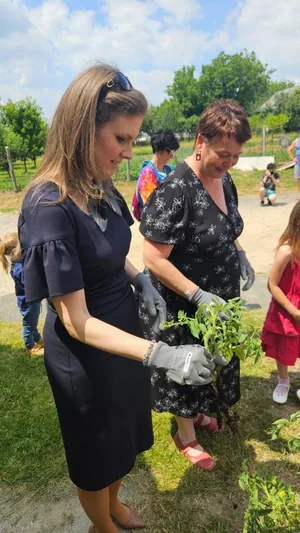 Iskolakerti alapozó