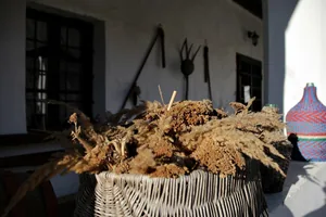 Képek: Jásdi Tájház 2022