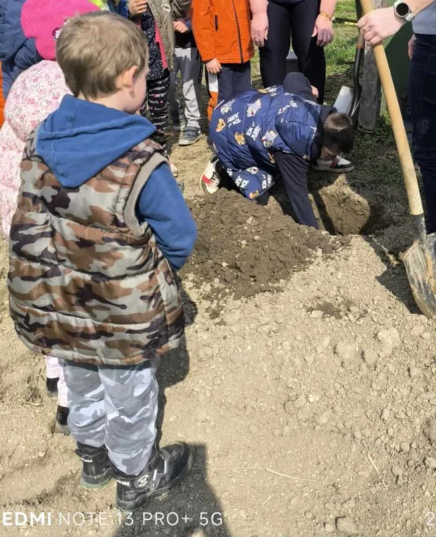 Iskolakerti alapozó