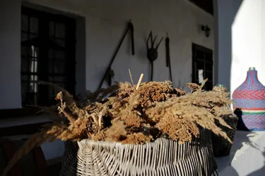 Képek: Jásdi Tájház 2022